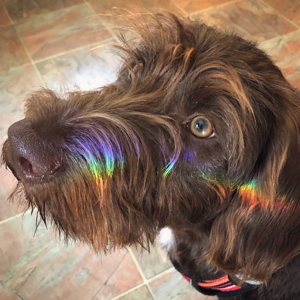 Meet your Posher, Rebekah